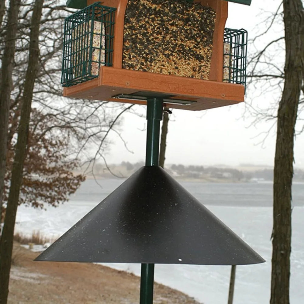 Bird Feeder Station