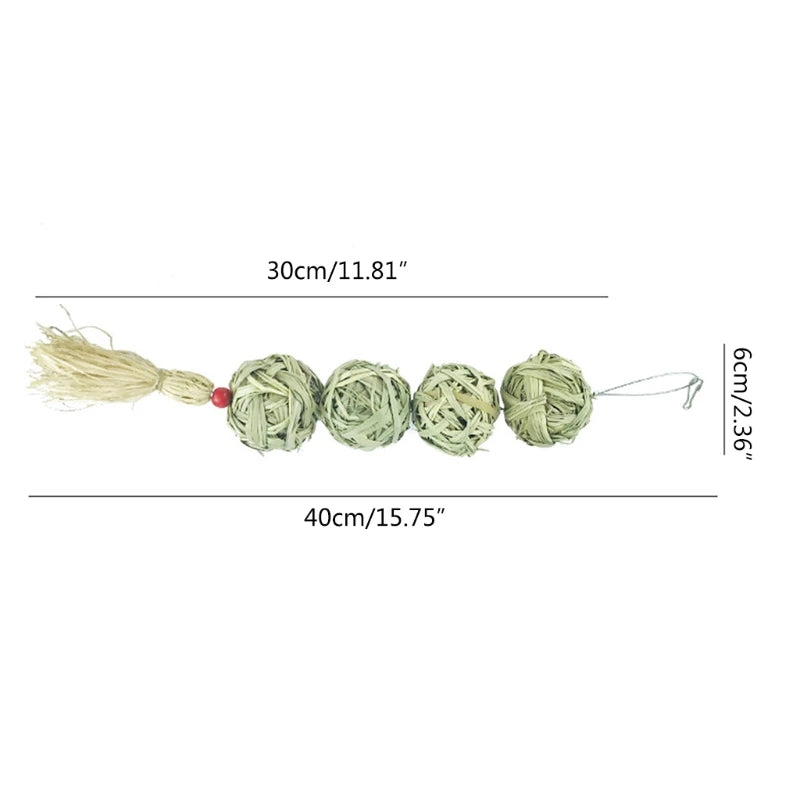 Grass Treat for Hay Balls Chew Toy for Chinchilla Rabbits Ger