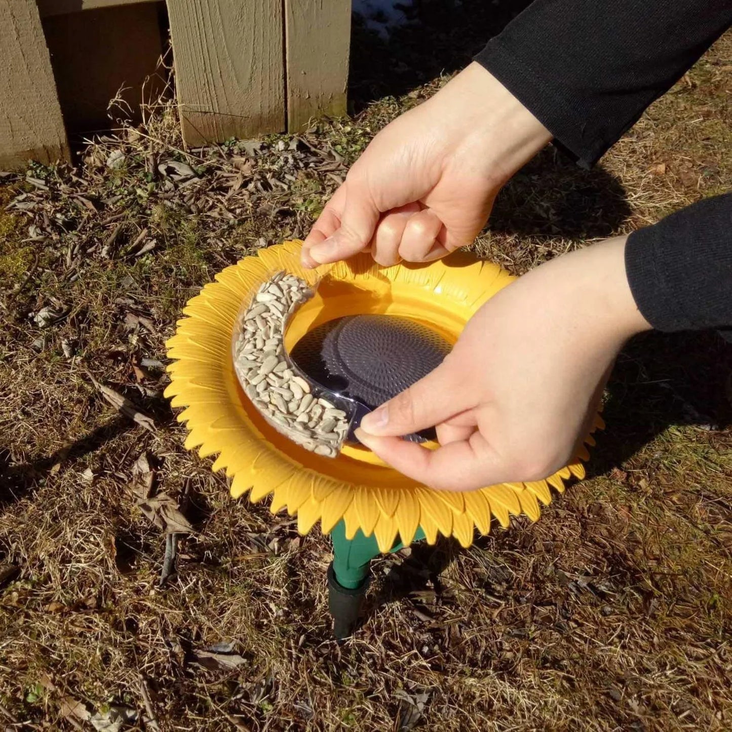 Sunflower Bird Outdoor Feeder