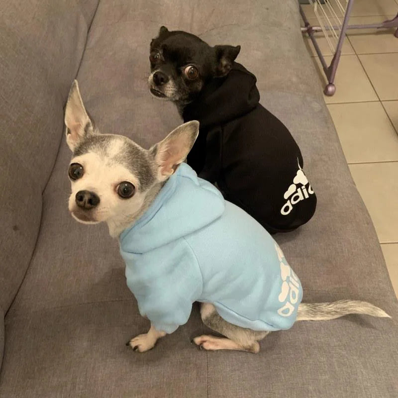 Pet Dog Premium Quality Hoodie