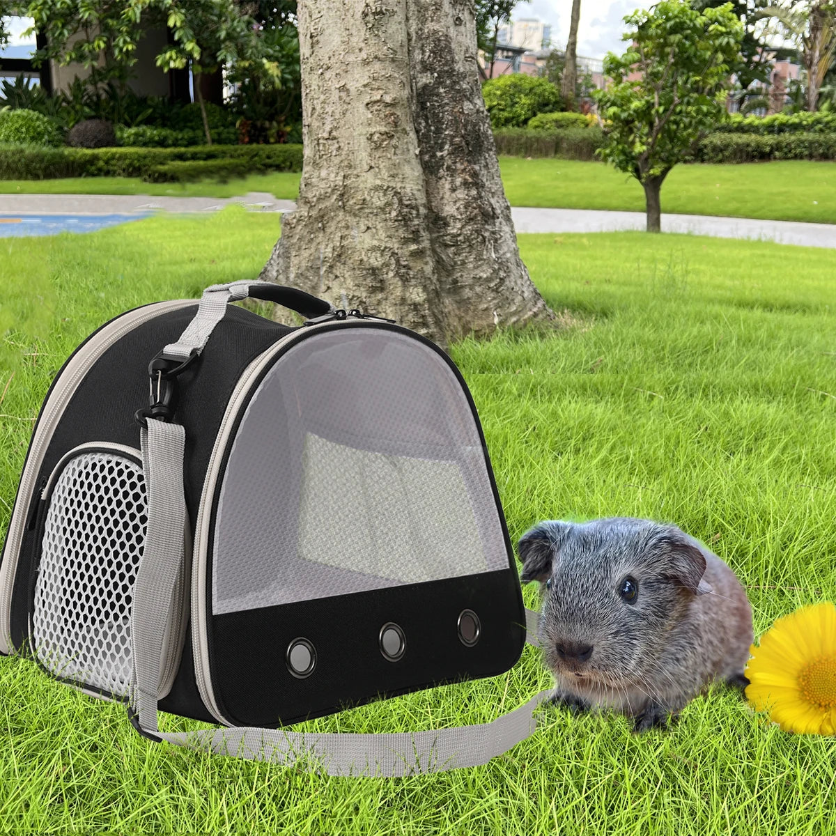 Carrier Portable Clear Hamster Transport Cage Reptile Travel Bag