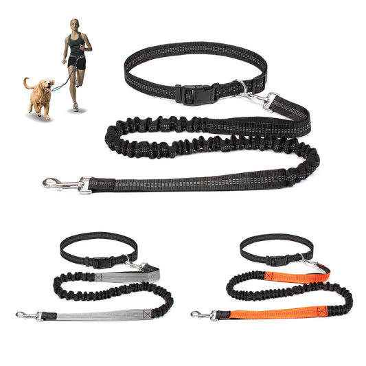 Hand Free Dog Leash for Pet Walking Running Jogging