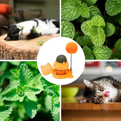 Rotatable Catnip Toy with Edible and Healthy Catnip Balls