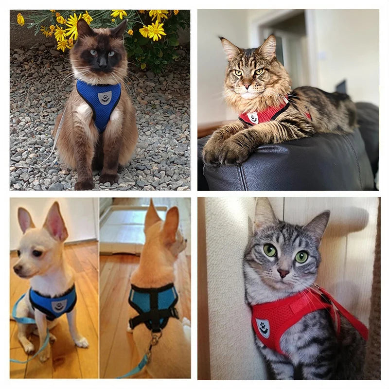 Adjustable Vest Walking Traction Rope Set for Dog Collar Breathable Mesh Harness for Small Medium Cat Dog Pet Lead