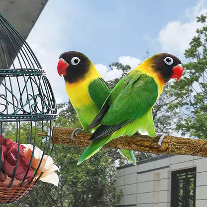 Birds perch, bird toy, standing stick, bird supplies, Sichuan pepper