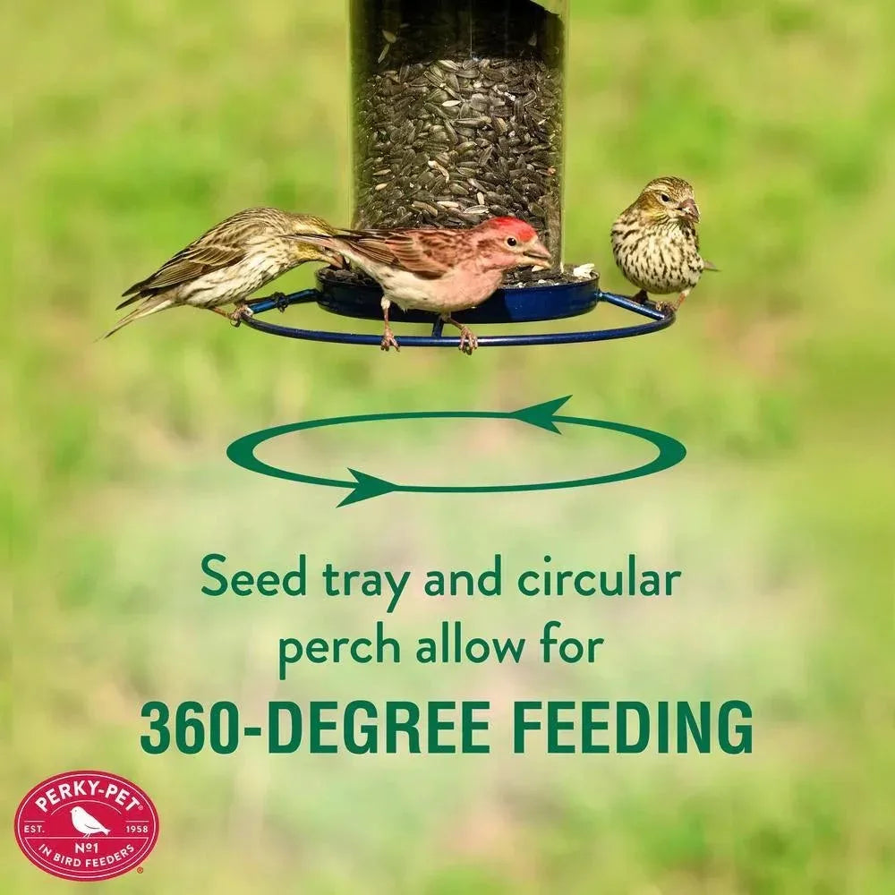2 Lb Metal/Plastic Panorama Bird Feeder 1 Ports Bird Feeder