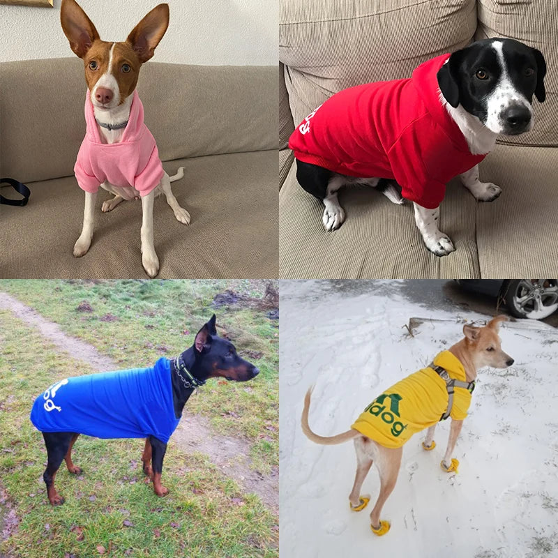Pet Dog Premium Quality Hoodie