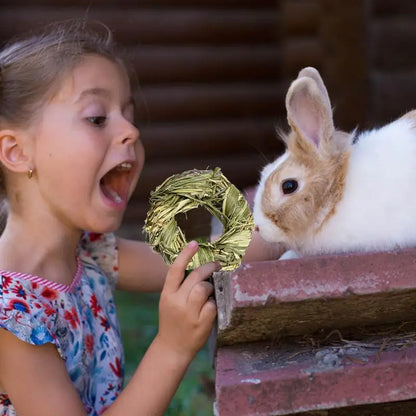 Grass Ball Grass Ring Pet Teeth Grinding Rabbit Chew Toy